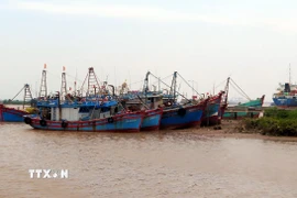 Tàu thuyền neo đậu tránh bão. (Nguồn: TTXVN)