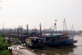 Tàu thuyền neo đậu an toàn tại khu tránh trú bão kết hợp cảng cá Hà Lạn xã Giao Ninh (Ninh Bình). (Ảnh: Thái Thuần/TTXVN)