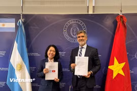 Thứ trưởng Bộ Ngoại giao, Thương mại quốc tế và Tôn giáo Argentina Fernando Brun và Đại sứ Việt Nam tại Argentina Ngô Minh Nguyệt tham dự Kỳ họp lần thứ VIII Ủy ban liên Chính phủ về hợp tác kinh tế, thương mại và khoa học công nghệ giữa Việt Nam và Argentina tại điểm cầu Buenos Aires. (Ảnh: Diệu Hương/Vietnam+)