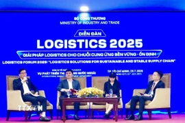 Các chuyên gia, đại diện doanh nghiệp tham gia phiên thảo luận tại Diễn đàn. (Ảnh: Mỹ Phương/TTXVN)
