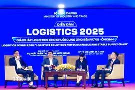 Các chuyên gia, đại diện doanh nghiệp tham gia phiên thảo luận tại Diễn đàn. (Ảnh: Mỹ Phương/TTXVN)