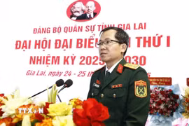 Đại tá Lương Đình Chung, Bí thư Đảng ủy, Chính ủy Quân khu 5, phát biểu tại Đại hội. (Ảnh: Sỹ Thắng/TTXVN)