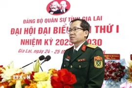 Đại tá Lương Đình Chung, Bí thư Đảng ủy, Chính ủy Quân khu 5, phát biểu tại Đại hội. (Ảnh: Sỹ Thắng/TTXVN)