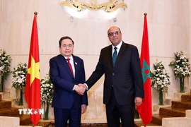 Chủ tịch Quốc hội Trần Thanh Mẫn hội kiến Chủ tịch Thượng viện Maroc Mohamed Ould Errachid. (Ảnh: Doãn Tấn/TTXVN)