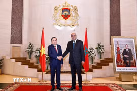 Chủ tịch Quốc hội Trần Thanh Mẫn hội kiến Chủ tịch Thượng viện Maroc Mohamed Ould Errachid. (Ảnh: Doãn Tấn/TTXVN)