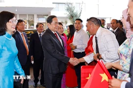 Đại sứ Việt Nam tại Maroc Lê Kim Quy cùng cán bộ, nhân viên Đại sứ quán và bà con người Việt Nam đón Chủ tịch Quốc hội Trần Thanh Mẫn và Phu nhân. (Ảnh: Doãn Tấn/TTXVN)