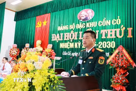 Phó Bí thư Đảng ủy, Chỉ huy trưởng Bộ Chỉ huy Quân sự tỉnh Quảng Trị Đoàn Sinh Hòa phát biểu chỉ đạo đại hội. (Ảnh: Tường Vi/TTXVN)