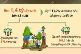 Hơn 1,4 tỷ cây xanh đã được trồng trong vòng 5 năm qua