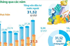 10 tháng năm 2025: Tổng vốn FDI đăng ký vào Việt Nam đạt 31,52 tỷ USD