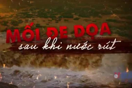 Mối đe dọa sau đợt mưa lớn và ngập úng kéo dài