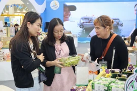 Khách tham quan Hội chợ mùa Thu. (Nguồn: Vietnam+)