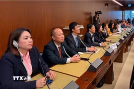 Phó Trưởng Phái đoàn Việt Nam tại Geneva Cung Đức Hân (thứ tư từ trái sang) cùng các thành viên đoàn liên ngành Việt Nam trong phiên bỏ phiếu các nghị quyết. (Ảnh: TTXVN phát)
