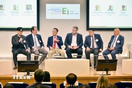 Doanh nghiệp hai nước chia sẻ về tiềm năng hợp tác và tiến hành các phiên kết nối giao thương. (Ảnh: Hữu Chiến/TTXVN)