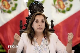 Bà Dina Boluarte. (Nguồn: Reuters/TTXVN)