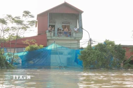 Người dân phường Vân Hà (Bắc Ninh) bị cô lập trong lũ. (Ảnh: Phan Phương/TTXVN)