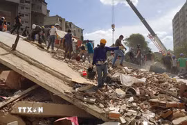 Các lực lượng cứu hộ Venezuela tìm kiếm những người mất tích và mắc kẹt dưới đống đổ nát. (Ảnh: Phi Hùng/TTXVN)