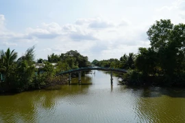 Độ mặn ở kênh Bảy Biển, xã Nam Thái A, huyện An Biên, từ đầu tháng 2/2025 đến nay có lúc lên đến 30‰-35‰. (Ảnh: Văn Sĩ/TTXVN)