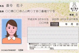 Thẻ nhận dạng cá nhân My Number. (Ảnh minh họa. Nguồn: Mainichi)
