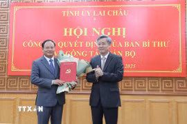 Ủy viên Trung ương Đảng, Phó Trưởng Ban Tổ chức Trung ương Nguyễn Quang Dương trao quyết định cho ông Lê Minh Ngân. (Ảnh: Nguyễn Oanh/TTXVN)