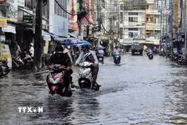 Đợt triều cường dâng cao ở Cà Mau hồi giữa tháng 12. (Ảnh: Kim Há/TTXVN)