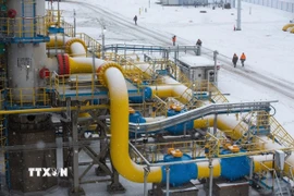 Điểm xuất phát của hệ thống đường ống dẫn khí đốt tự nhiên Nord Stream 2 ở Ust-Luga, Nga. (Ảnh: Bloomberg/TTXVN)