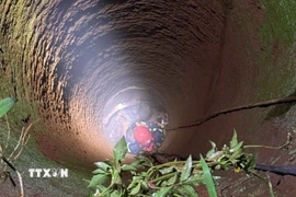 Ảnh minh họa. (Nguồn: TTXVN)