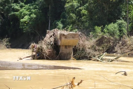 Trụ cầu Xốp Chạng nằm chơ vơ giữa dòng suối. (Ảnh: Xuân Tiến/TTXVN)