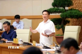 Phó Thủ tướng Hồ Đức Phớc phát biểu tại cuộc họp. (Ảnh: An Đăng/TTXVN)