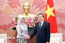 Chủ tịch Quốc hội Trần Thanh Mẫn tiếp Tổng Thư ký AIPA Siti Rozaimeriyanty Dato Haji Abdul Rahman. (Ảnh: Doãn Tấn/TTXVN)