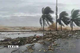 Gió mạnh, từng đợt sóng lớn đánh vào bờ đê dọc tuyến phố Hồ Xuân Hương, Sầm Sơn (Thanh Hóa). (Ảnh: Việt Hoàng/TTXVN)