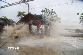 Nhiều chòi nghỉ mát tại Khu du lịch biển Cửa Hiền (xã An Châu, tỉnh Nghệ An) bị sóng đánh gây hư hỏng nặng. (Ảnh: Xuân Tiến/TTXVN)