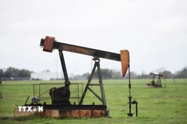 Giàn khoan dầu tại Luling, Texas, Mỹ. (Ảnh: THX/TTXVN)