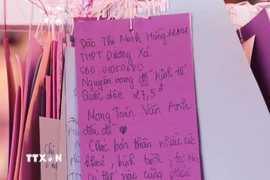 Ước nguyện của các thi sinh treo ở khu Thái học tại Văn Miếu-Quốc Tử Giám với hy vọng đạt được điểm cao. (Ảnh: Thành Phương/TTXVN)