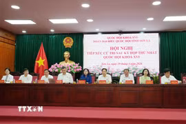 Các đại biểu Quốc hội tham gia tiếp xúc cử tri tại Hội nghị. (Ảnh: Nguyễn Cường/TTXVN)