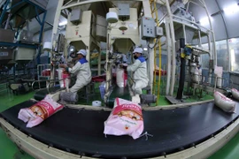 Senegal đang là thị trường tiềm năng cho xuất khẩu gạo của Việt Nam. (Ảnh: Vũ Sinh/TTXVN)