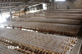 Bánh đa nem Thổ Hà phơi khô dưới nắng, khi sử dụng có mùi thơm đặc trưng. (Ảnh: Thanh Thương/TTXVN)