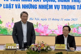 Bộ trưởng Bộ Tư pháp Nguyễn Hải Ninh phát biểu. (Ảnh: Đỗ Bình/TTXVN)