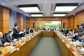 Đoàn đại biểu Quốc hội thành phố Hà Nội thảo luận ở tổ. (Ảnh: Doãn Tấn/TTXVN)