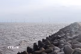 Tuyến đê kè chắn sóng tại xã Gành Hào, tỉnh Cà Mau. (Ảnh: Chanh Đa/TTXVN)