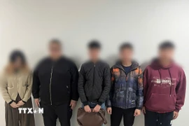 Các đối tượng tại cơ quan điều tra Công an tỉnh Tuyên Quang. (Ảnh: TTXVN phát)