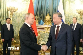 Tổng Bí thư Tô Lâm hội đàm hẹp với Tổng thống Nga Vladimir Putin. (Ảnh: Thống Nhất/TTXVN)