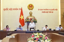 Chủ tịch Quốc hội Trần Thanh Mẫn phát biểu khai mạc phiên họp. (Ảnh: Doãn Tấn/TTXVN)
