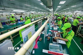 Hoạt động sản xuất tại một công ty ở thành phố Hòa Bình, tỉnh Hòa Bình. (Ảnh: Trọng Đạt/TTXVN)