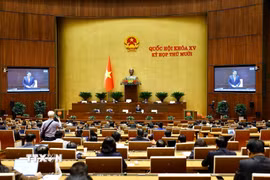Quang cảnh phiên họp. (Ảnh: Doãn Tấn/TTXVN)