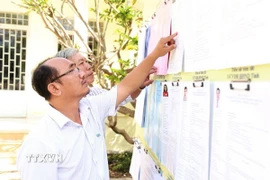 Cử tri phường Tây Nha Trang (tỉnh Khánh Hòa) nghiên cứu tiểu sử tóm tắt các ứng cử viên đại biểu Quốc hội và Hội đồng Nhân dân các cấp. (Ảnh: Xuân Triệu/TTXVN)