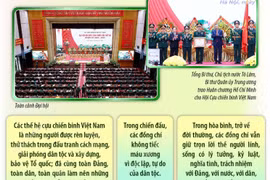 Tiếp tục xây dựng Hội Cựu chiến binh Việt Nam vững mạnh toàn diện