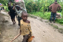 Người tị nạn Cộng hòa Congo tại Bundibugyo, Uganda. (Ảnh: THX/TTXVN)