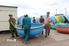 Hàng trăm phương tiện thuyền thúng được di dời lên bờ kè ứng phó với bão số 12. (Ảnh: Phạm Cường/TTXVN)