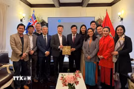 Thứ trưởng Bộ Ngoại giao Nguyễn Mạnh Cường (thứ 5, từ trái sang) cùng êkíp thực hiện dự án VietNEST và một số đại diện cộng đồng người Việt tại thành phố Sydney. (Ảnh: Thanh Tú/TTXVN)