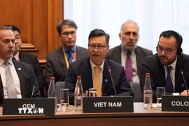Đại sứ đặc mệnh toàn quyền Việt Nam tại Pháp Trịnh Đức Hải phát biểu tại Hội nghị Bộ trưởng Cơ quan Năng lượng Quốc tế (IEA) năm 2026. (Ảnh: TTXVN phát)